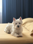 photo-6