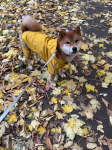 photo-17