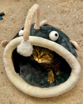 photo-19