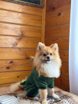 photo-18