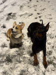 photo-7
